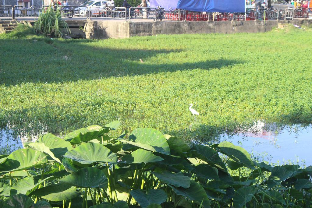 Hoi An Green View Homestay&Villa Buitenkant foto